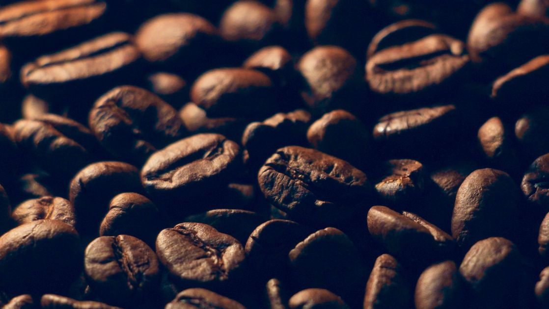Cafés de Colombia Expo llega a Corferias para celebrar el grano nacional