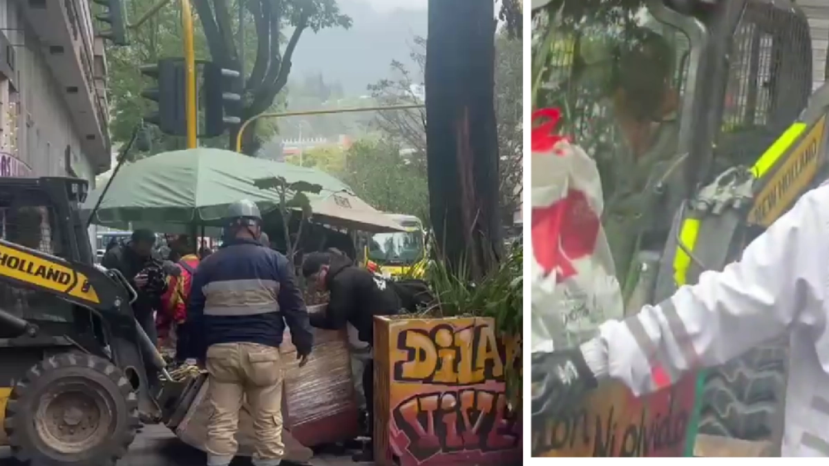 Alcaldía justifica intervención en homenaje a Dilan Cruz por estado del árbol