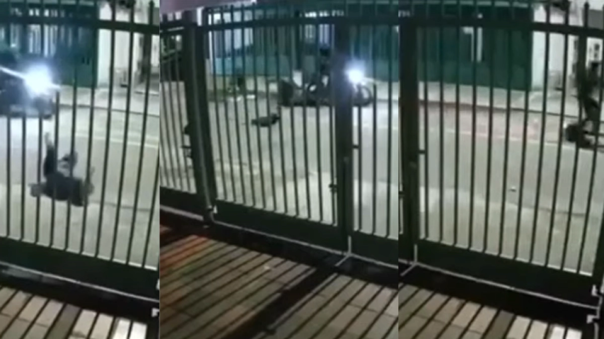 Robo brutal en Normandía: joven agredida y despojada de su patineta eléctrica en Engativá