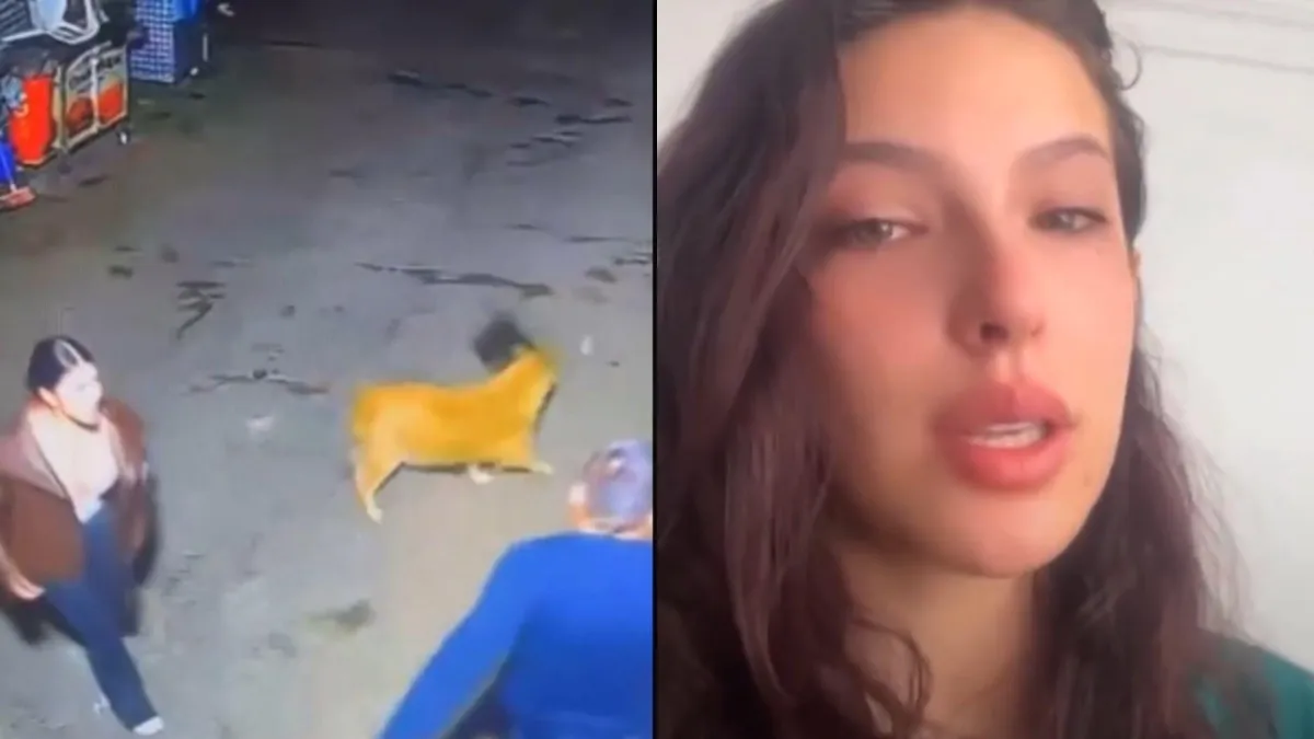 Creadora de contenido Hasli Jáuregui denuncia agresión de su pareja en vía pública en Bogotá